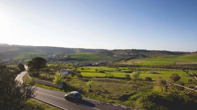 castellaneta-spighe-verdi