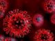 coronavirus radiolaser news matera potenza puglia basilicata