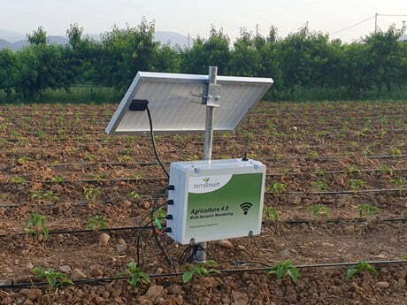 terraSmart_Basilicata05