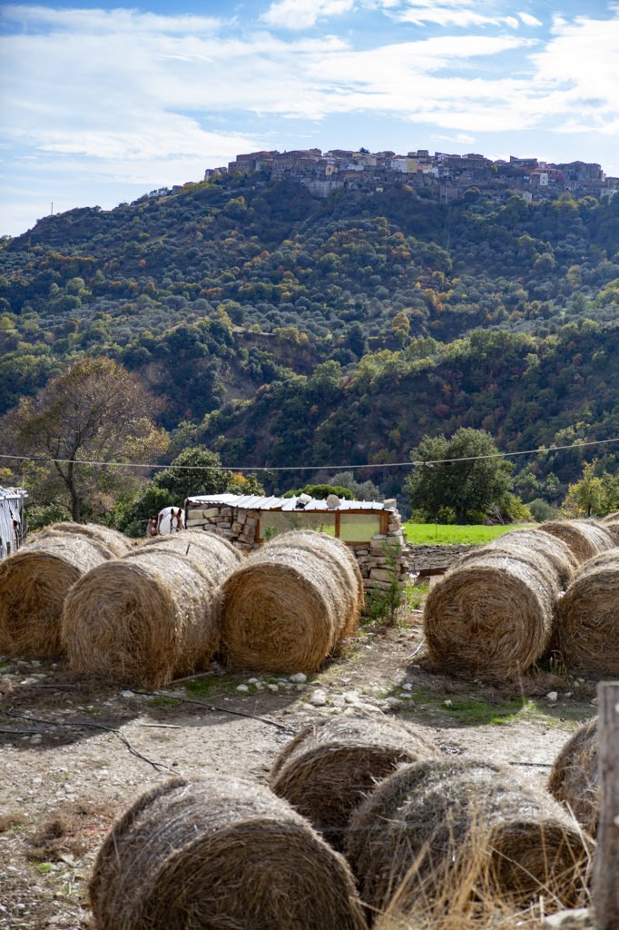Matera 2019, l’artista Luigi Coppola torna a San Mauro Forte per celebrare “Il paese dell’abbondanza” e “praticare la restanza”