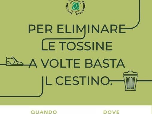 Puliamo-il-mondo-Monticchio-1