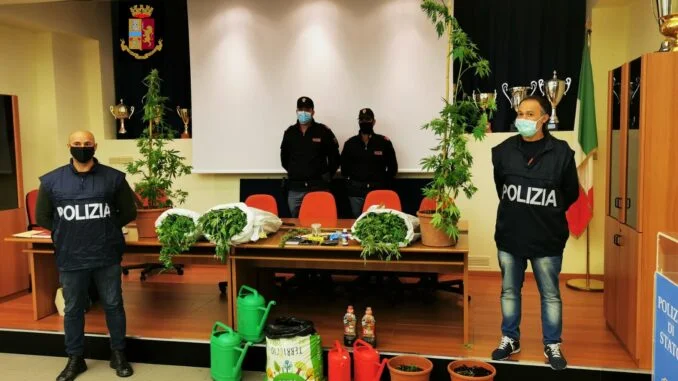 marijuana e altro materiale sequestrato