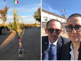 foto albero della legalita quirinale radio laser news matera potenza puglia basilicata