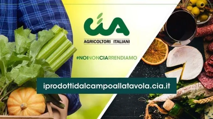 dalcampoallatavola