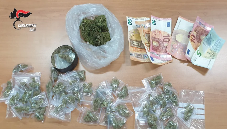 ALTAMURA (BA): Minore arrestato per detenzione ai fini di spaccio di stupefacenti e denunciato per detenzione illegale di materiale esplodente clandestino.