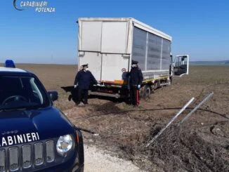Banzi (PZ): Furto in azienda agricola sventato dai Carabinieri. Recuperati un autocarro rubato e 12.000 litri di gasolio, restituiti ai proprietari.