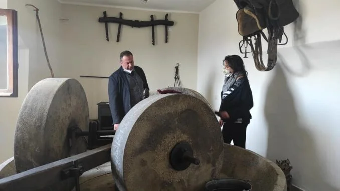 paolo colonna al museo dell'olio colobraro