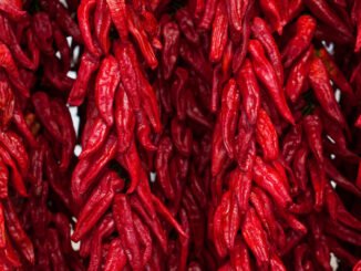 “l’oro rosso della basilicata”, un potenziale nuovo alleato per la salute