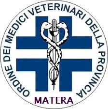 http://www.veterinarimatera.it/wp-content/uploads/2021/03/cane-1.jpg
