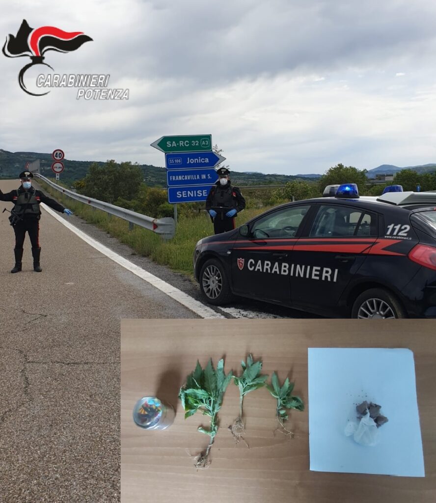 Sant’Arcangelo (PZ): Sorpreso con quasi 11 grammi di eroina in auto e 2 piante di canapa indiana in casa. Arrestato dai Carabinieri.
