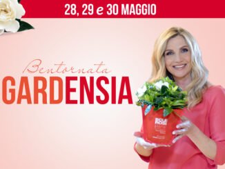 locandina 2 radio laser news matera potenza puglia basilicata