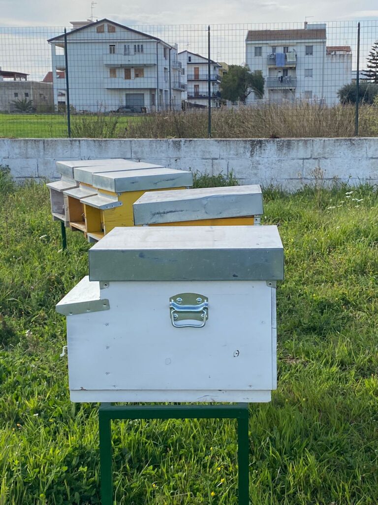 api tilt radiolaser news matera potenza puglia basilicata