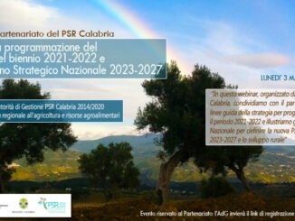 def webinar psr bozza 2 1 radio laser news matera potenza puglia basilicata