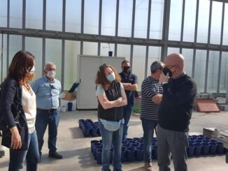ricercatrici crea radio laser news matera potenza puglia basilicata