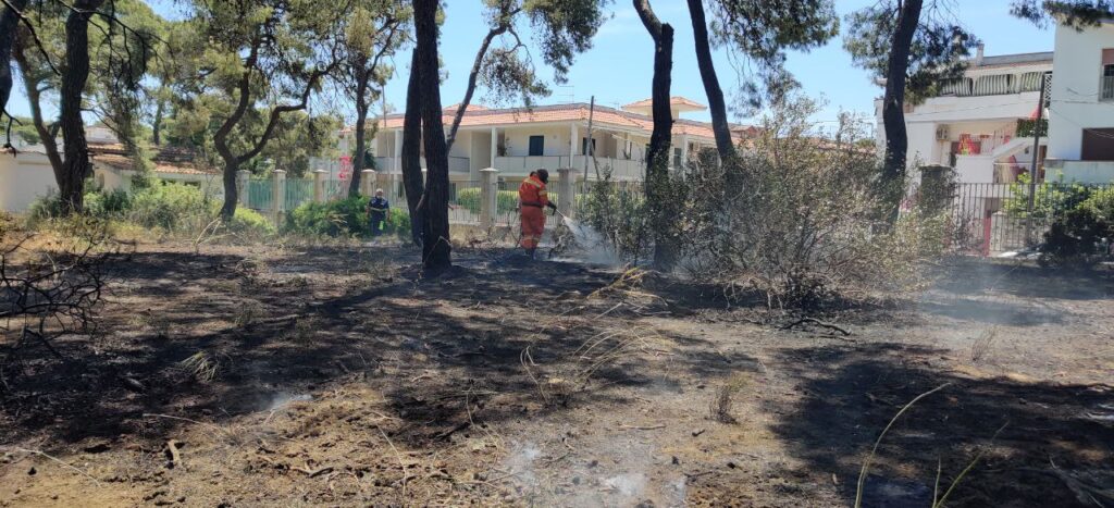 INCENDIO PARCO COMUNALE MARINA DI GINOSA, IL SINDACO VITO PARISI, INFORMA