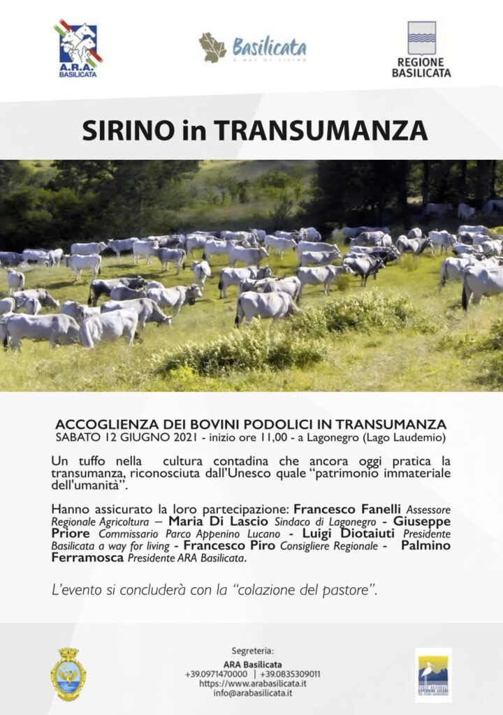 A LAGONEGRO DOMANI “SIRINO IN TRANSUMANZA”