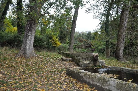 bosco-difesa-grande