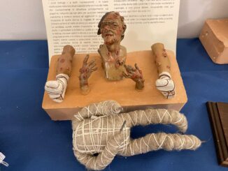 epidemie e vaccini:la storia in una mostra del museo delle arti sanitarie 30 foto lebbra 2 radiolaser news matera potenza puglia basilicata