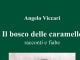 viccari copertina scaled e1628699519394 radiolaser news matera potenza puglia basilicata