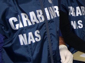 carabinieri - nas di bari: sequestrati 17 cavalli privi di identificazione 108 come entrare nei nas carabinieri radiolaser news matera potenza puglia basilicata