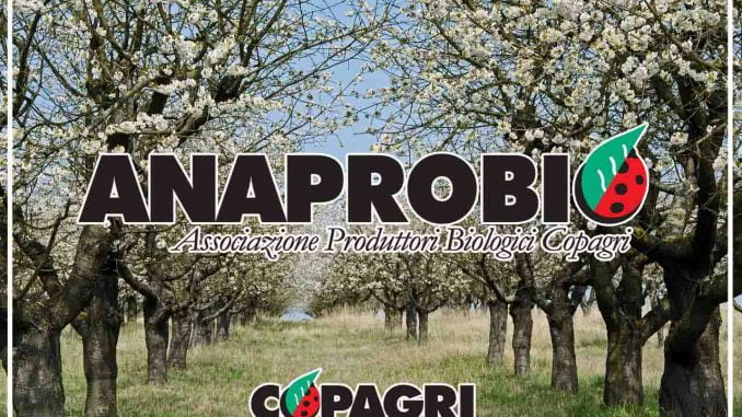 nasce_anaprobio_copagri