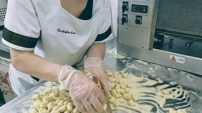 laboratorio pasta, vita d'andrea