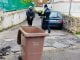 castellaneta controlli differenziata 1 radiolaser news matera potenza puglia basilicata