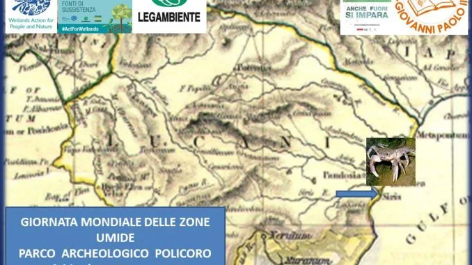 locandina zone umide