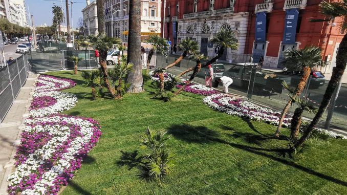 25-03-22 restyling aiuole storiche corso Cavour_domani la consegna delle prime due di fronte al Teatro Petruzzelli_2