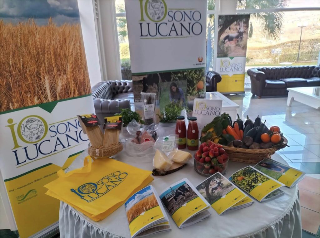 sonic park matera: ai visitatori verra' offerto il meglio dell'enogastronomia di basilicata 2 12389 radiolaser news matera potenza puglia basilicata