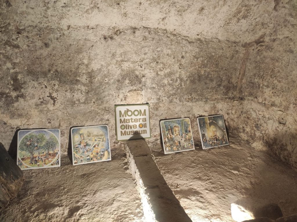 Il MOOM il Museo dell'Olio di Oliva di Matera è vincitore del Concorso Nazionale Turismo dell'Olio della categoria Musei