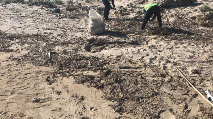 Pulizia spiagge 2022