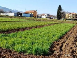 “ALSIA Porte aperte”: ad aprile e maggio 2022 visite guidate alle strutture ed alle attività dell’Agenzia.