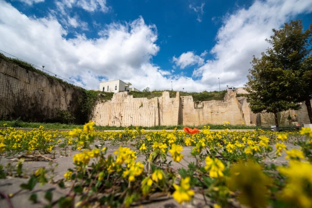 Tagghiate Urban Factory: apre il nuovo parco urbano dal 1 maggio in Via Dei Ferrari