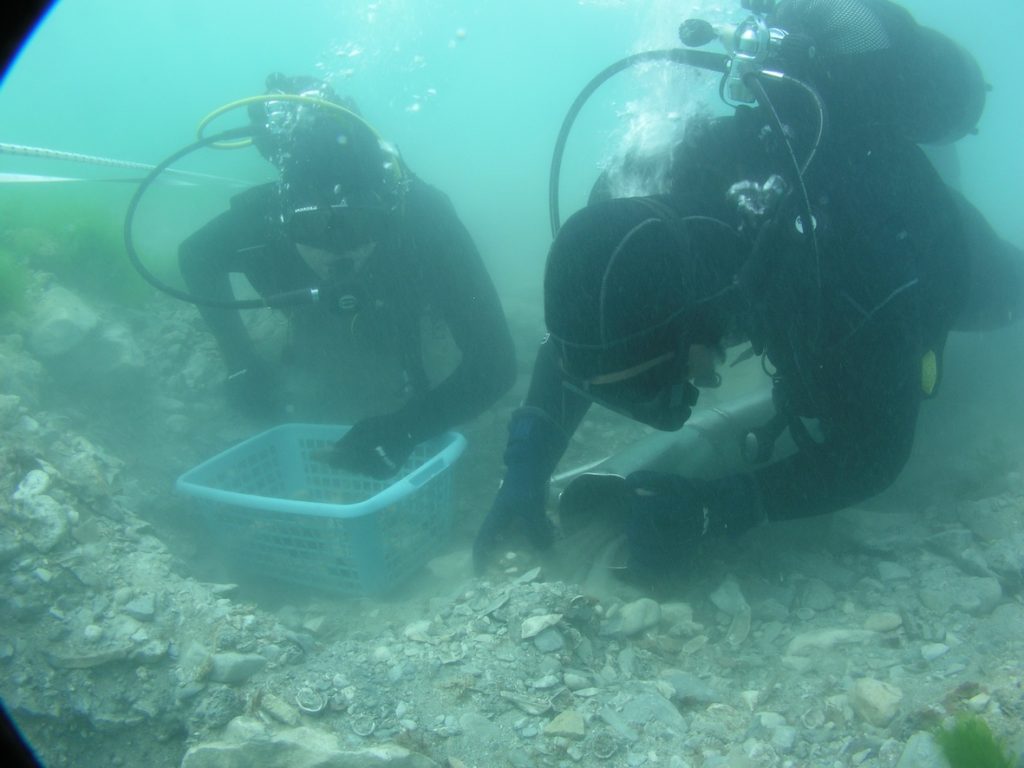 dal 3 al 5 giugno, tra lecce e porto cesareo, l’evento finale di underwatermuse 1 resnik siculi 1 radiolaser news matera potenza puglia basilicata
