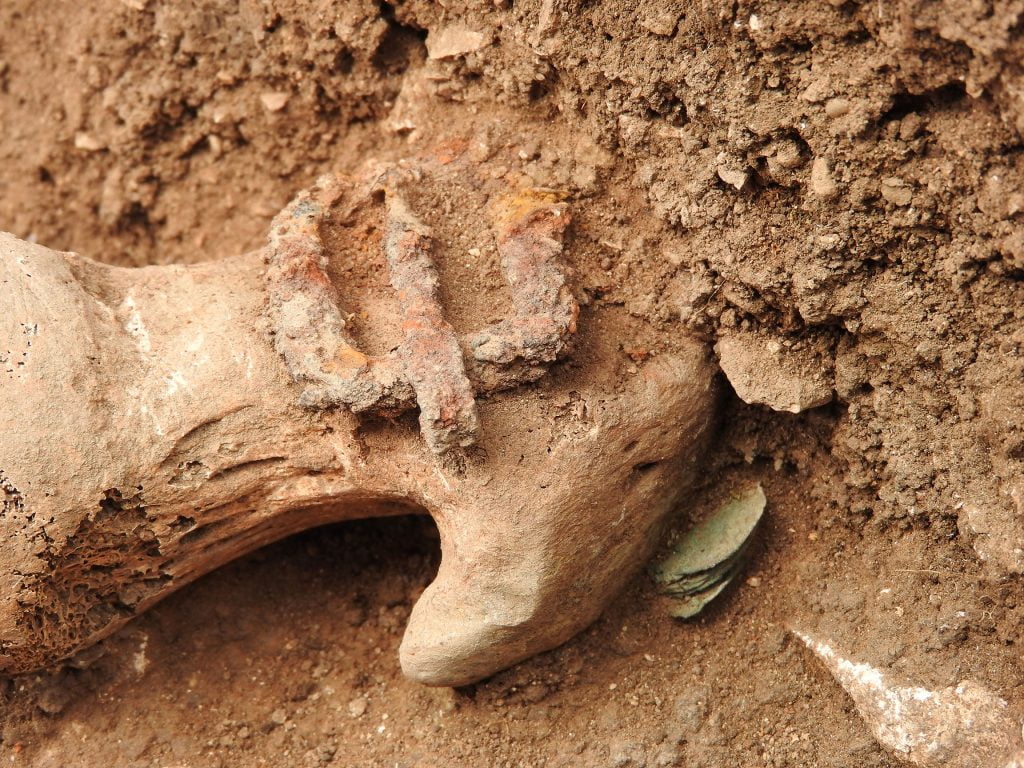 5 maggio conferenza archeologia museo Musa