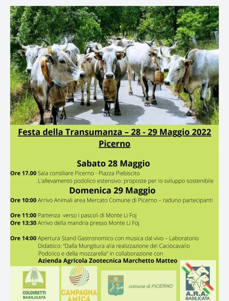A PICERNO LA COLDIRETTI ORGANIZZA LA FESTA DELLA TRANSUMANZA