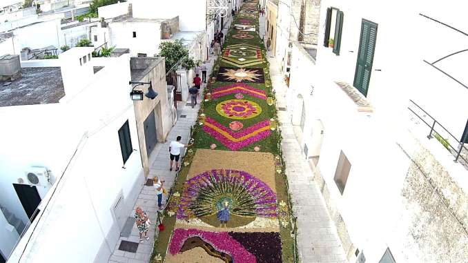 Foto Infiorata Edizione Precedente