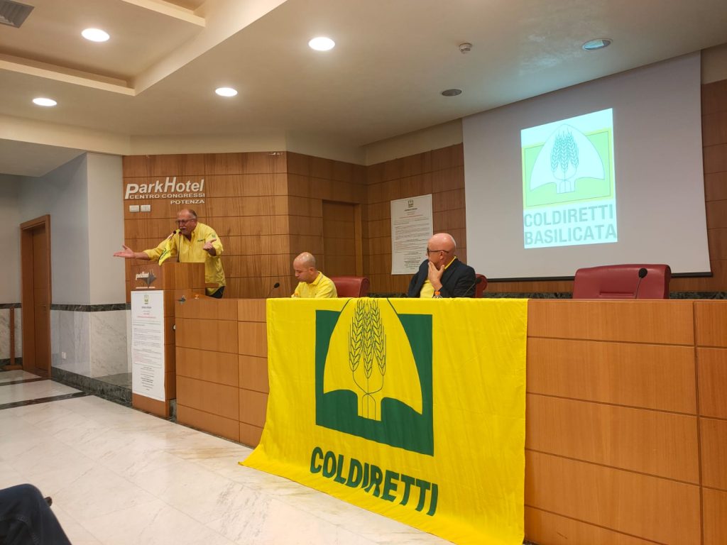 whatsapp image 2022 07 29 at 10.10.39 radio laser news matera potenza puglia basilicata