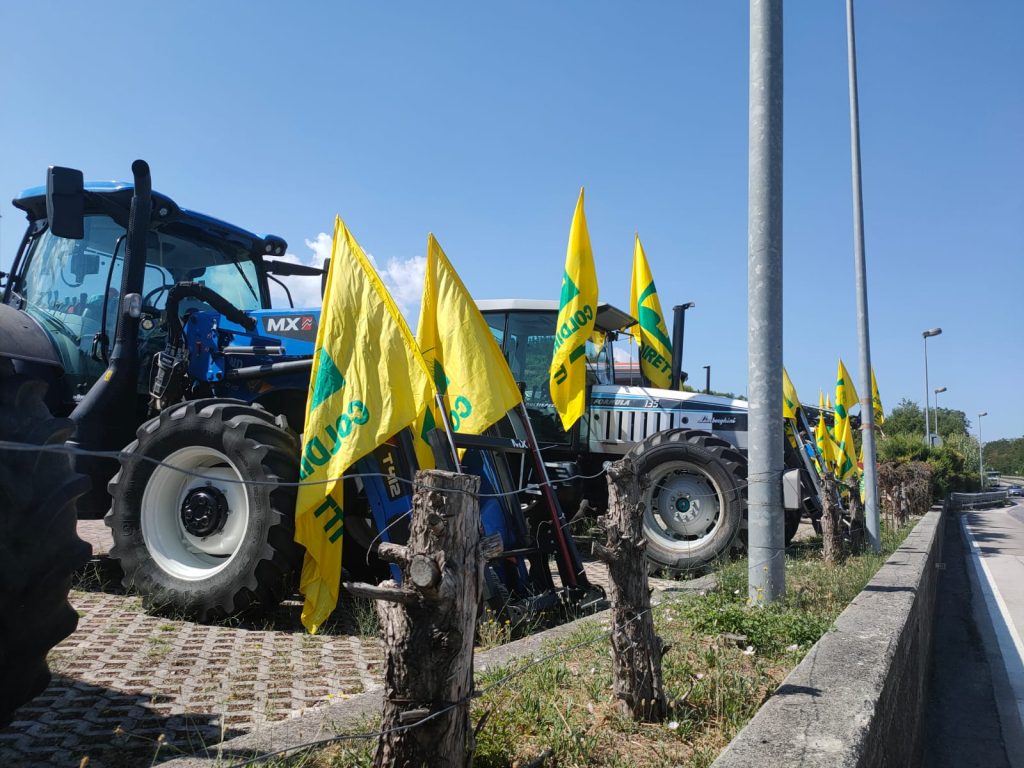 whatsapp image 2022 07 29 at 10.27.061 radio laser news matera potenza puglia basilicata
