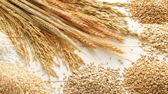 cereals and grains