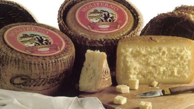 canestrato-di-moliterno-igp-