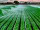 irrigazione radio laser news matera potenza puglia basilicata