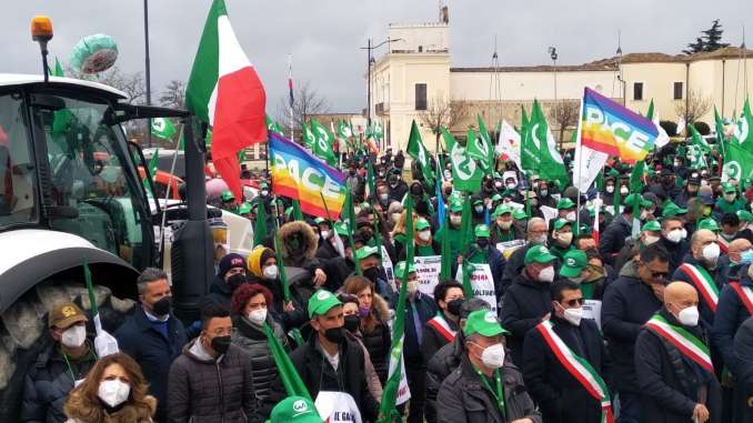 manifestaz. cia