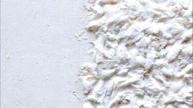 origine - mostra d'arte contemporanea