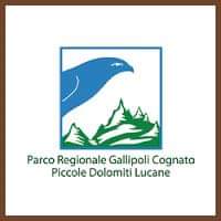 parco di gallipoli cognato: l’assurda vicenda di un ente sub regionale che da molti mesi blocca la vita di imprese, cittadini e comuni.