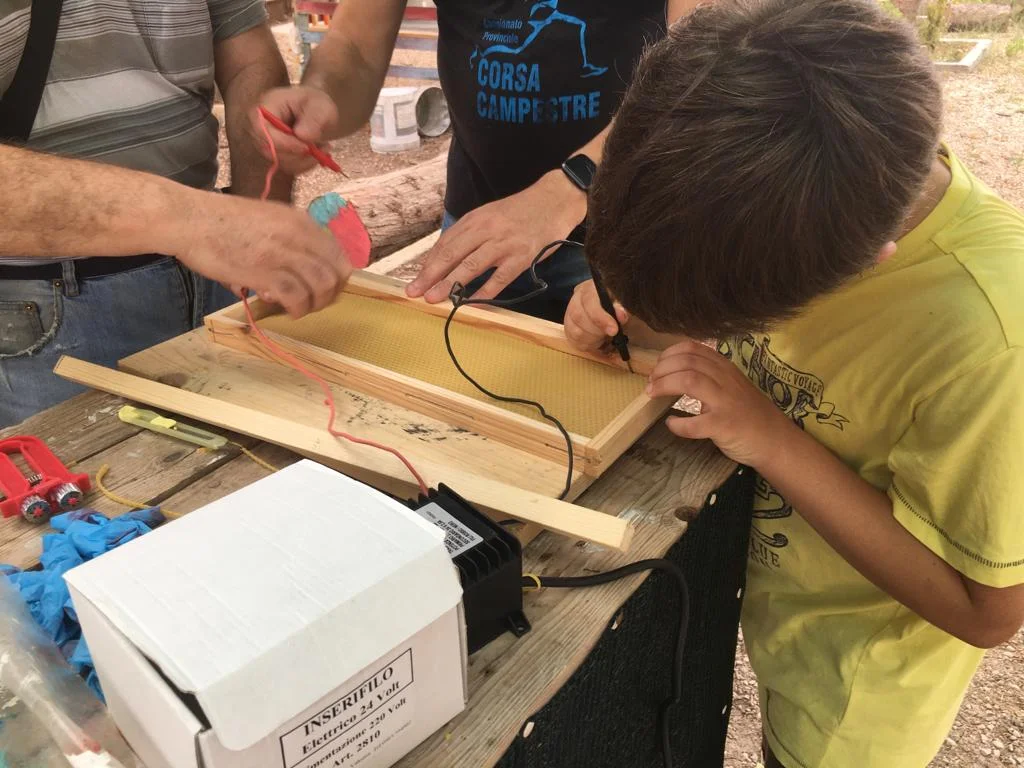 "La creatività è popolare", si chiude il progetto dei laboratori a cielo aperto nel quartiere Stadio