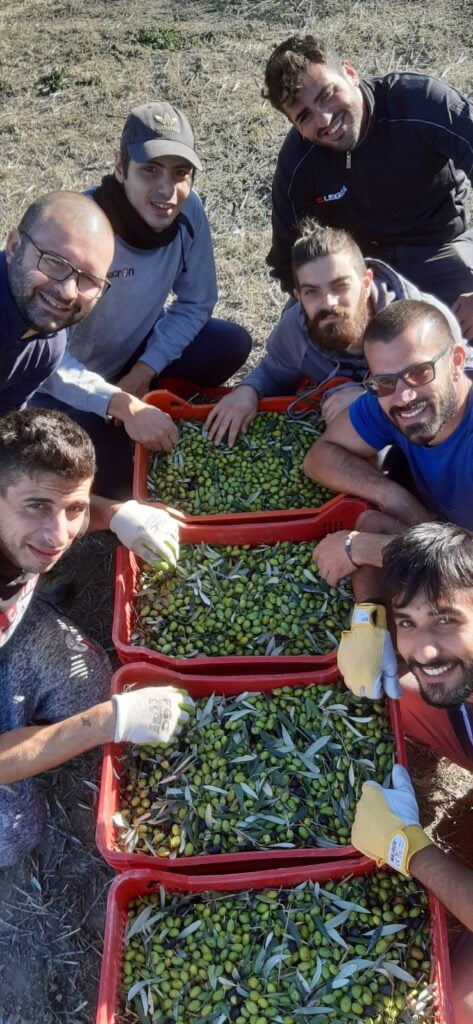 coop.olivetiritrovati radiolaser news matera potenza puglia basilicata