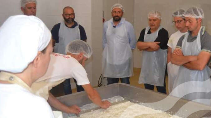 Corso casaro