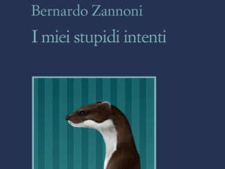 i miei stupidi intenti bernardo zannoni sellerio e1669744932302 radio laser news matera potenza puglia basilicata